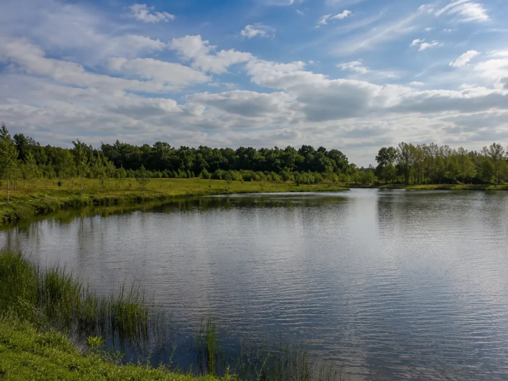 Wide-angle view of Poulner Lakes in Ringwood, showing the open lake, grassy banks, reeds, surrounding trees and a bright sky with scattered clouds.